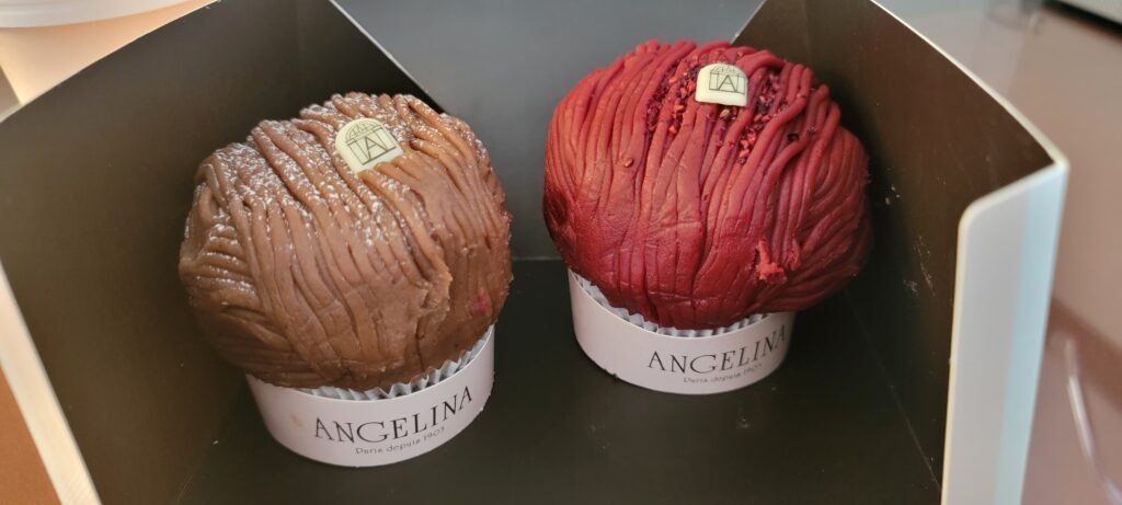 two Mont Blanc desserts, chocolate and raspberry, from Angelina's in Paris