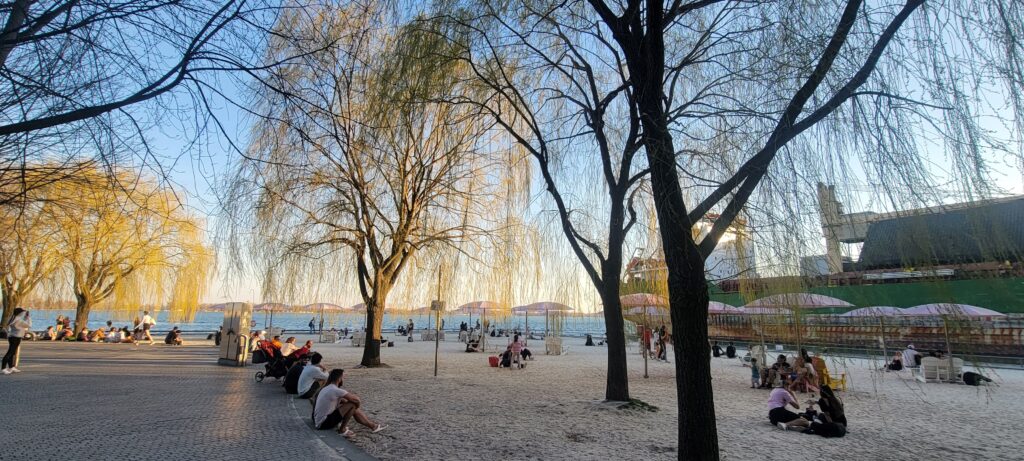 Sugar Beach, free to visit in Toronto, with pink umbrellas and people enjoying the outdoors by the water.