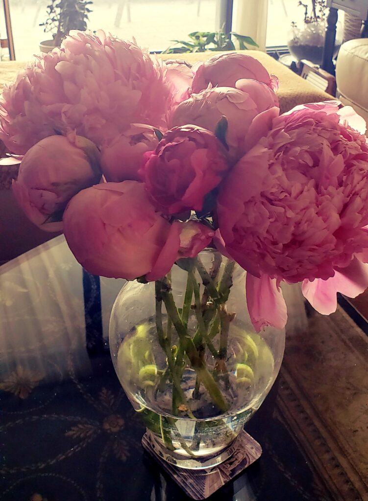 Fresh, pink flowers in a glass vase.