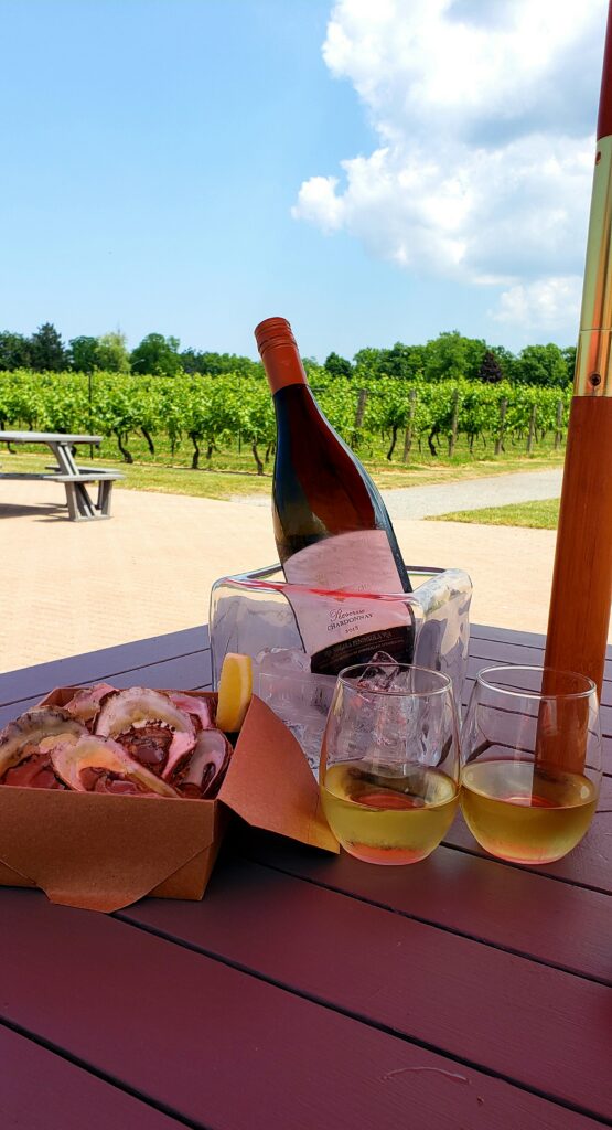 White wine and oysters on a picnic table beside a vineyard.