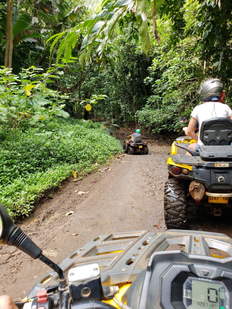 View from ATV of two ATVS and lush vegetation in Moorea.