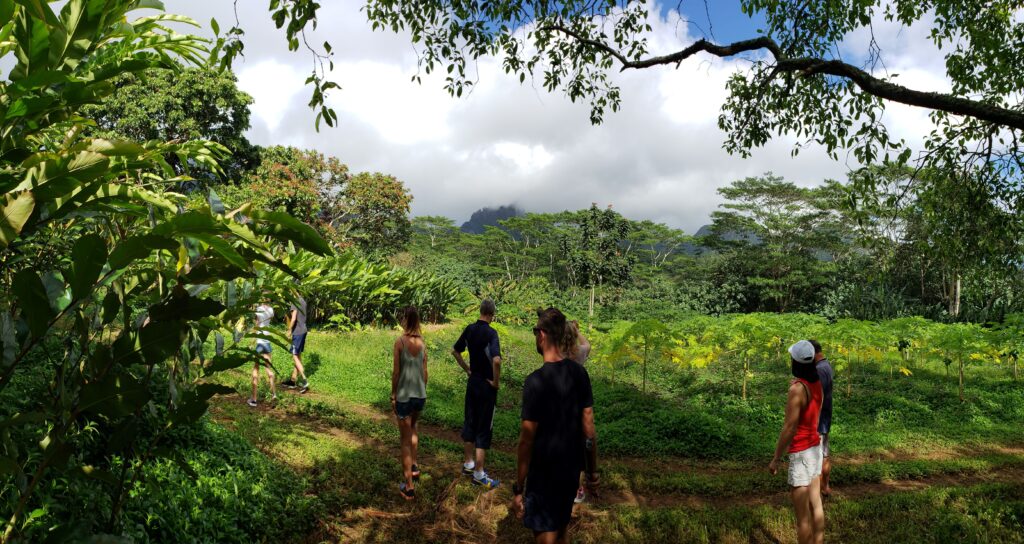 Looking at the lush vegetation and mountains in Moorea during a stop.