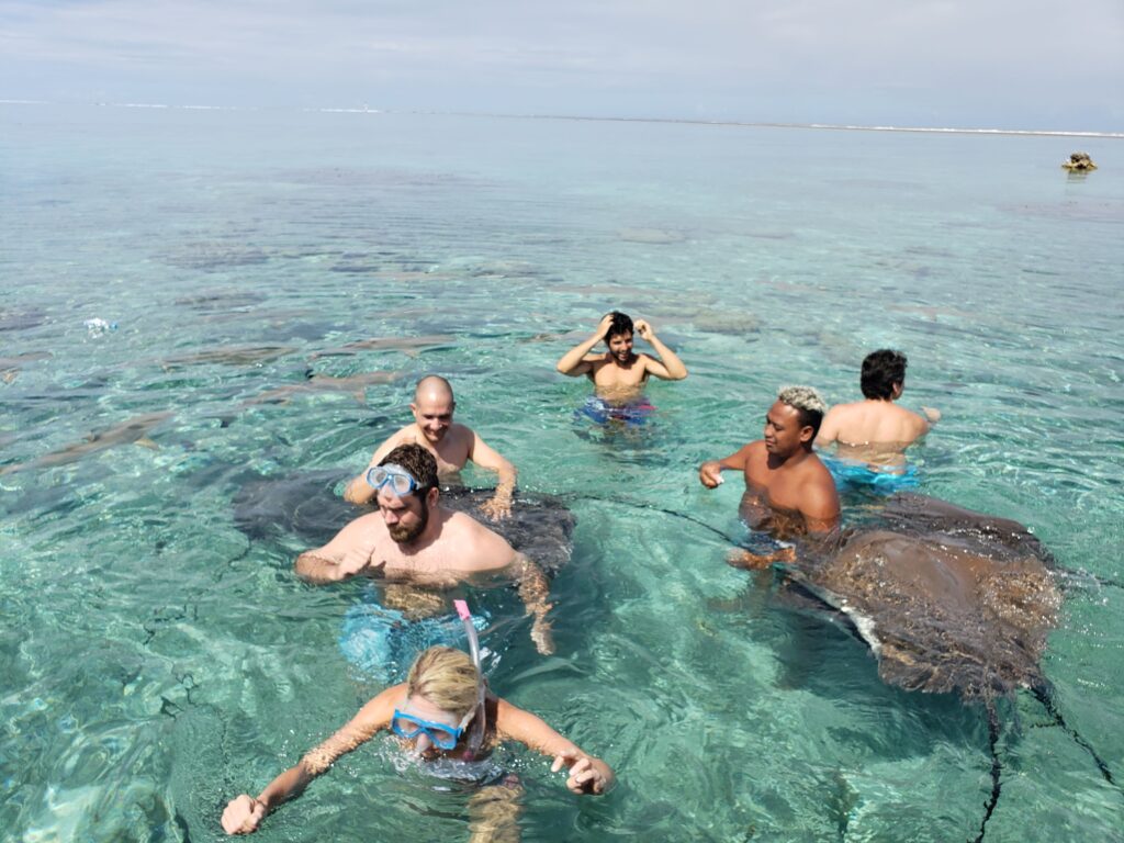 People in the water with sting rays and sharks in clear Bora Bora waters.