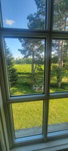 Room view looking out into the vineyards and trees.