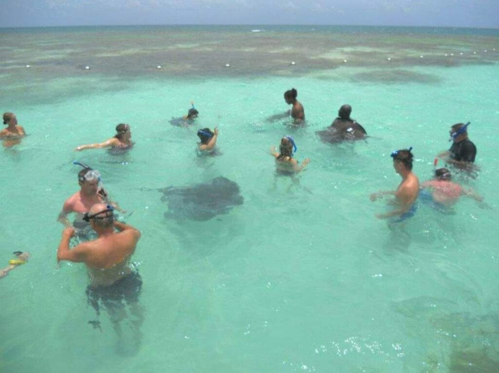 People standing up in the clear waters in Stingray City in Antigua with stingrays, during the Xtreme Circumnavigation tour.