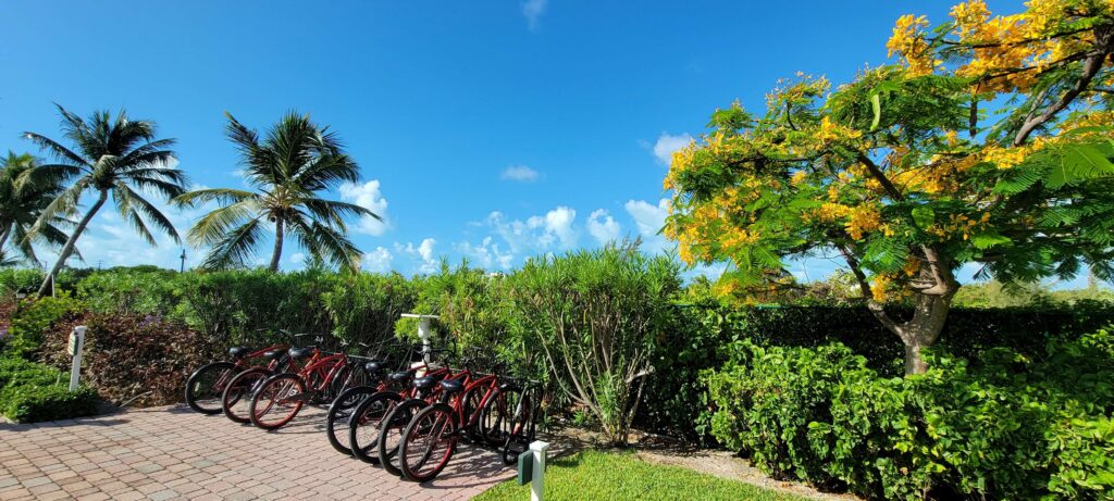 Several parked bicycles available for guests of Royal West Indies Resort in Turks and Caicos.