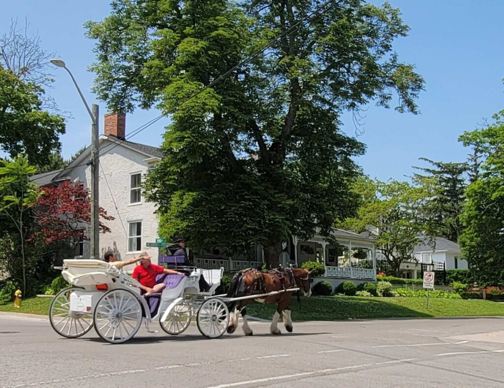 People in a horse drawn carriage in Niagara-on-the-Lake during the day.