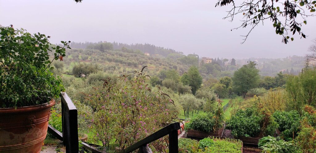 Beautiful Tuscan view, overcast weather, from the country estate stop during our Florence Vespa Tour.