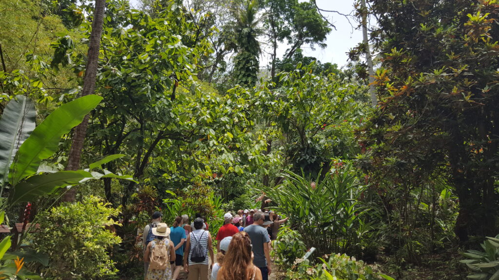 St. Lucia tour of Diamond Falls Botanical Gardens as group enters the rainforest.