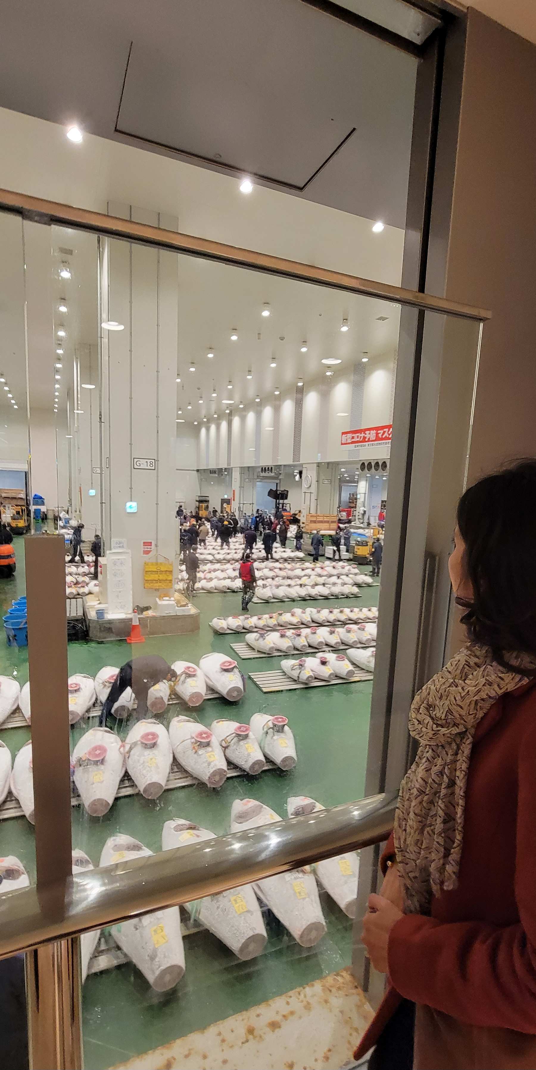 Woman looking at the fish auction at the Toyosu Fish Market.