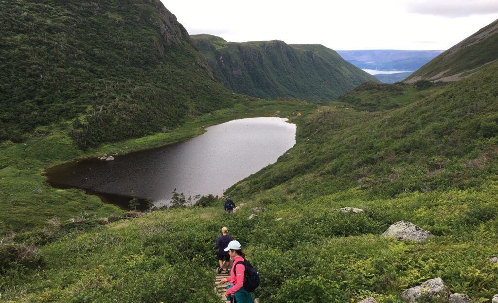 Gros Morne National Park in Newfoundland, Canada, is an example destination great for forest bathing and nature.