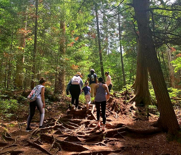 A group hiking with adults and child, in Algonquin Provincial Park, Ontario, Canada, a great place to enjoy nature and forest bathing.