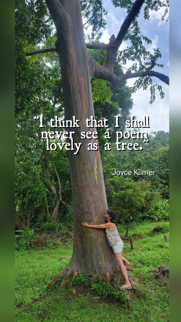 Joyce Kilmer quote "I think that I shall never see a poem lovely as a tree" on a picture of woman forest bathing and hugging rainbow eucalyptus tree in Grenada.